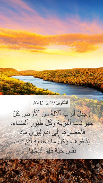اَلتَّكْوِينُ 2:19 AVD Bible Verse Image