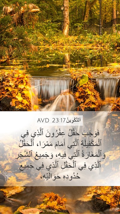 اَلتَّكْوِينُ 23:17 AVD Mobile Phone Wallpaper - فَوَجَبَ حَقْلُ عِفْرُونَ - Mobile Bible Verse Wallpaper