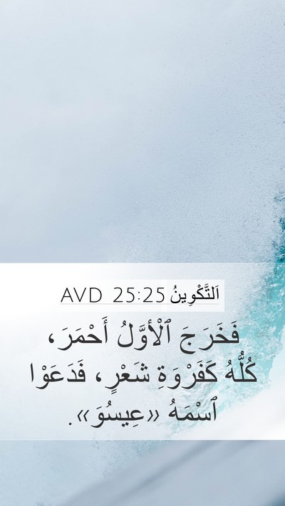 اَلتَّكْوِينُ 25:25 AVD Bible Verse Image