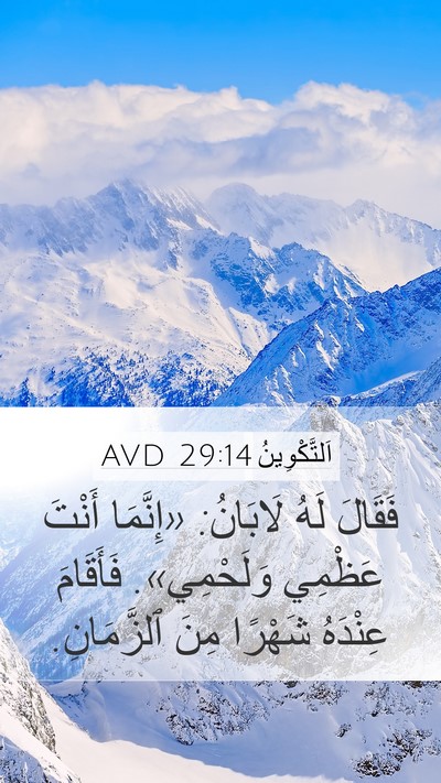 اَلتَّكْوِينُ 29:14 AVD Bible Verse Image
