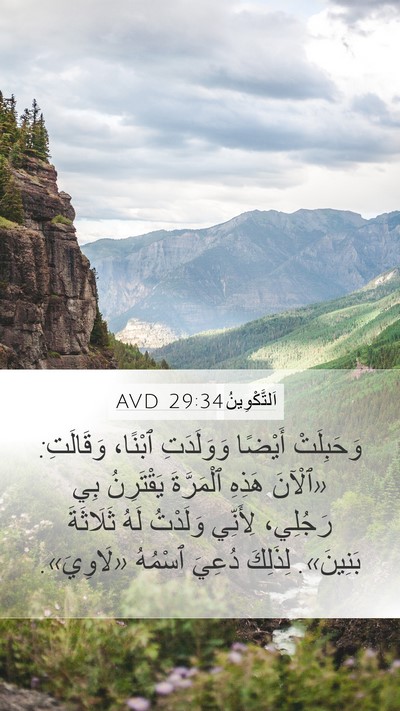 اَلتَّكْوِينُ 29:34 AVD Bible Verse Image