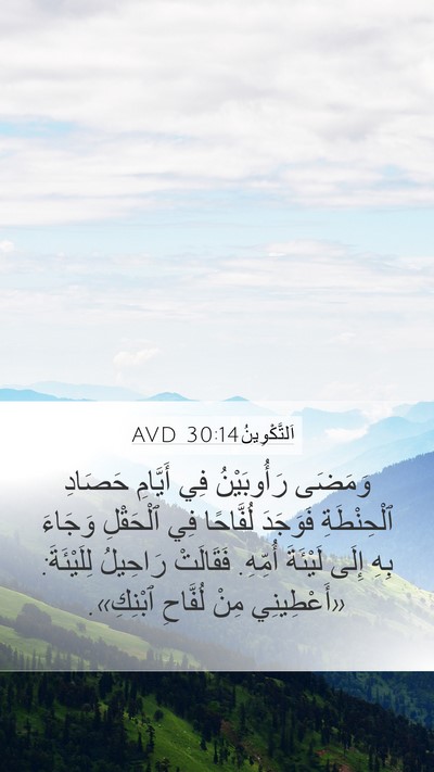 اَلتَّكْوِينُ 30:14 AVD Mobile Phone Wallpaper - وَمَضَى رَأُوبَيْنُ فِي - Mobile Bible Verse Wallpaper