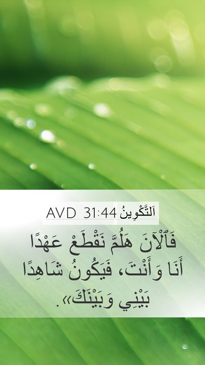 اَلتَّكْوِينُ 31:44 AVD Bible Verse Image