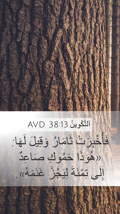 اَلتَّكْوِينُ 38:13 AVD Mobile Phone Wallpaper - فَأُخْبِرَتْ ثَامَارُ - Mobile Bible Verse Wallpaper