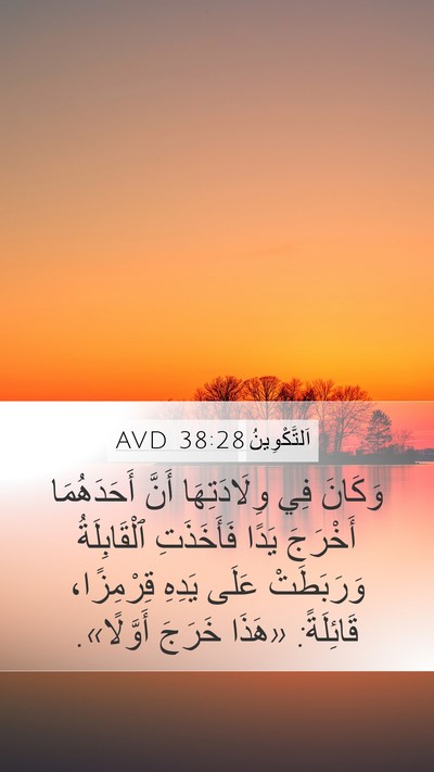اَلتَّكْوِينُ 38:28 AVD Bible Verse Image