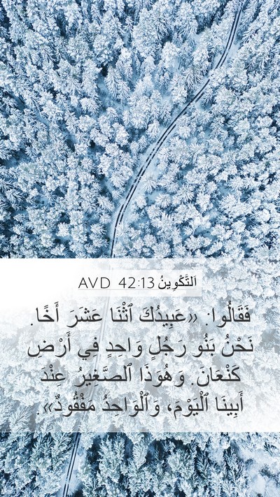 اَلتَّكْوِينُ 42:13 AVD Bible Verse Image