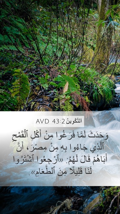 اَلتَّكْوِينُ 43:2 AVD Bible Verse Image