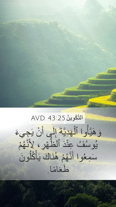 اَلتَّكْوِينُ 43:25 AVD Bible Verse Image