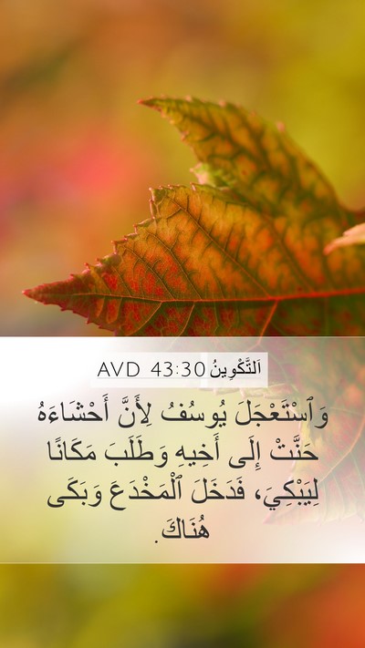 اَلتَّكْوِينُ 43:30 AVD Bible Verse Image