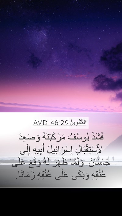 اَلتَّكْوِينُ 46:29 AVD Bible Verse Image