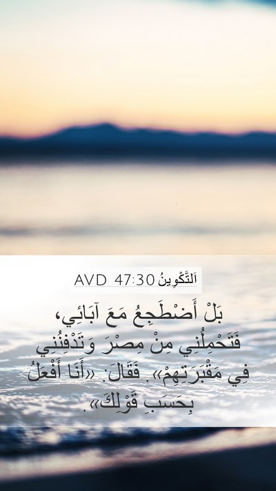 اَلتَّكْوِينُ 47:30 AVD Bible Verse Image