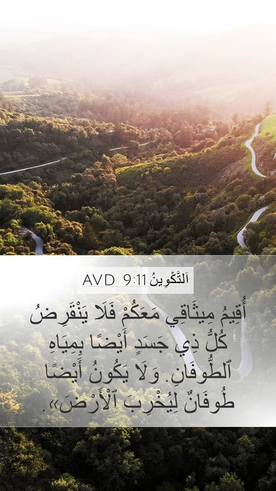 اَلتَّكْوِينُ 9:11 AVD Mobile Phone Wallpaper - أُقِيمُ مِيثَاقِي - Mobile Bible Verse Wallpaper
