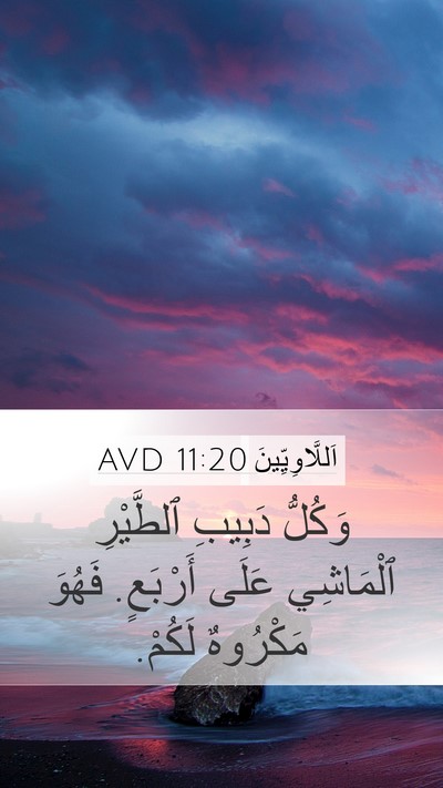 اَللَّاوِيِّينَ 11:20 AVD Bible Verse Image