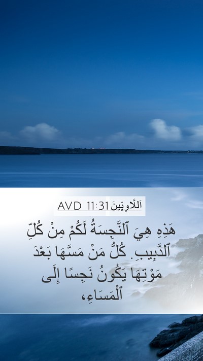 اَللَّاوِيِّينَ 11:31 AVD Bible Verse Image