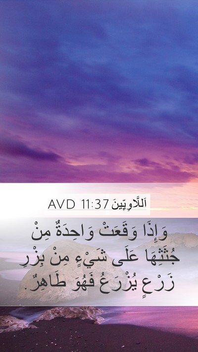 اَللَّاوِيِّينَ 11:37 AVD Mobile Phone Wallpaper - وَإِذَا وَقَعَتْ - Mobile Bible Verse Wallpaper