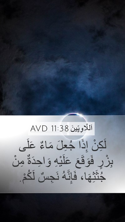 اَللَّاوِيِّينَ 11:38 AVD Bible Verse Image