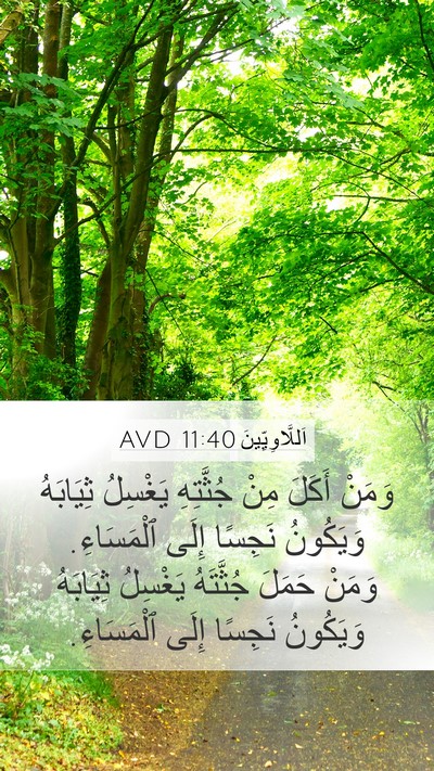اَللَّاوِيِّينَ 11:40 AVD Bible Verse Image