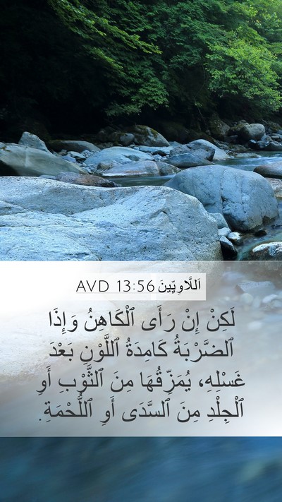 اَللَّاوِيِّينَ 13:56 AVD Mobile Phone Wallpaper - لَكِنْ إِنْ رَأَى - Mobile Bible Verse Wallpaper