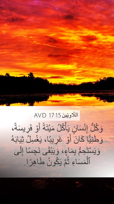 اَللَّاوِيِّينَ 17:15 AVD Bible Verse Image
