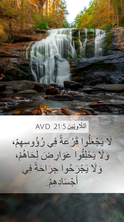 اَللَّاوِيِّينَ 21:5 AVD Bible Verse Image