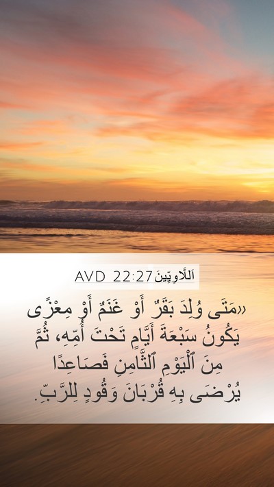 اَللَّاوِيِّينَ 22:27 AVD Bible Verse Image