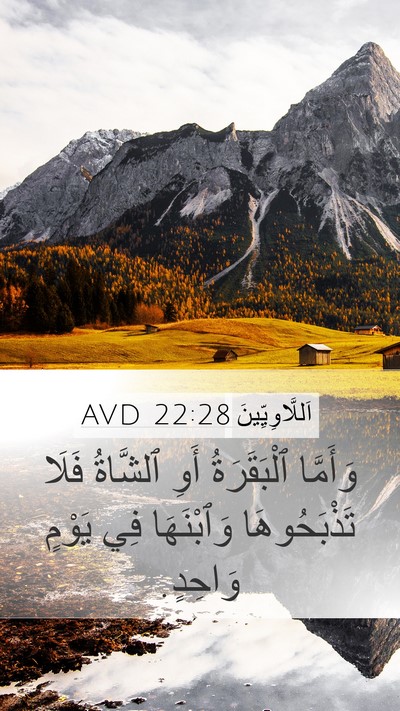 اَللَّاوِيِّينَ 22:28 AVD Bible Verse Image