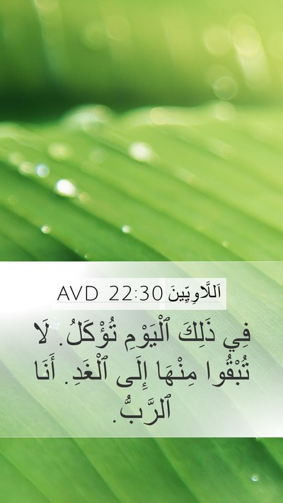 اَللَّاوِيِّينَ 22:30 AVD Mobile Phone Wallpaper - فِي ذَلِكَ ٱلْيَوْمِ - Mobile Bible Verse Wallpaper
