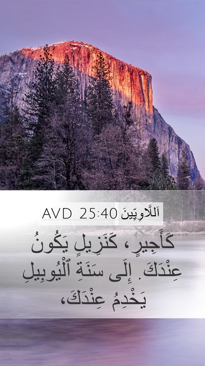 اَللَّاوِيِّينَ 25:40 AVD Bible Verse Image
