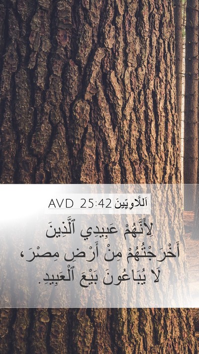 اَللَّاوِيِّينَ 25:42 AVD Bible Verse Image