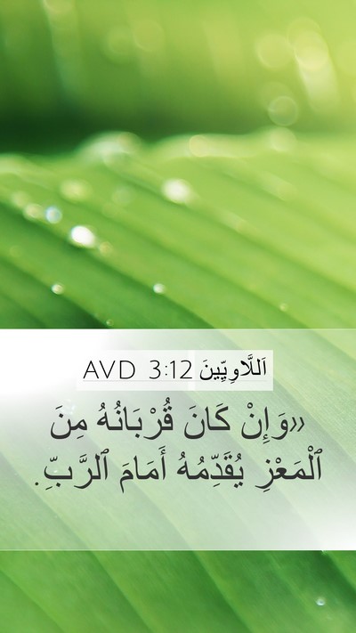 اَللَّاوِيِّينَ 3:12 AVD Mobile Phone Wallpaper - «وَإِنْ كَانَ قُرْبَانُهُ - Mobile Bible Verse Wallpaper