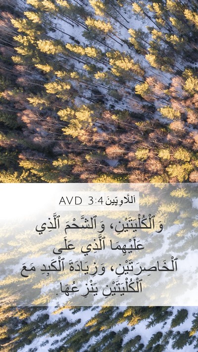 اَللَّاوِيِّينَ 3:4 AVD Mobile Phone Wallpaper - وَٱلْكُلْيَتَيْنِ، - Mobile Bible Verse Wallpaper
