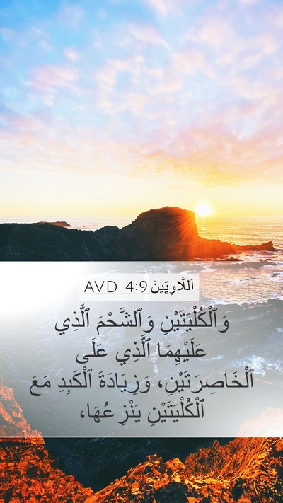 اَللَّاوِيِّينَ 4:9 AVD Bible Verse Image