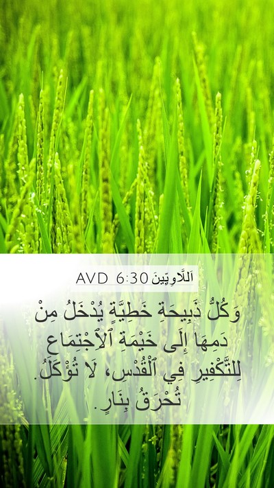 اَللَّاوِيِّينَ 6:30 AVD Bible Verse Image
