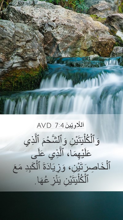 اَللَّاوِيِّينَ 7:4 AVD Bible Verse Image