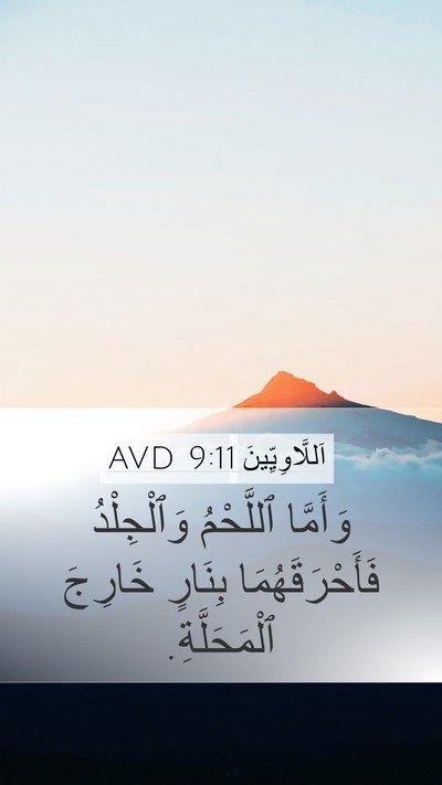 اَللَّاوِيِّينَ 9:11 AVD Bible Verse Image
