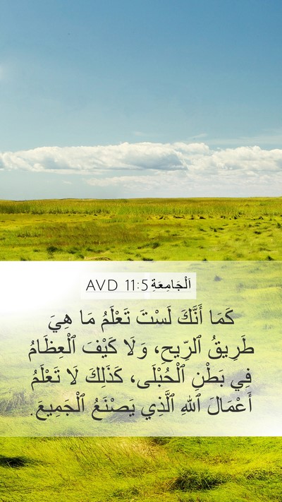 اَلْجَامِعَةِ 11:5 AVD Bible Verse Image