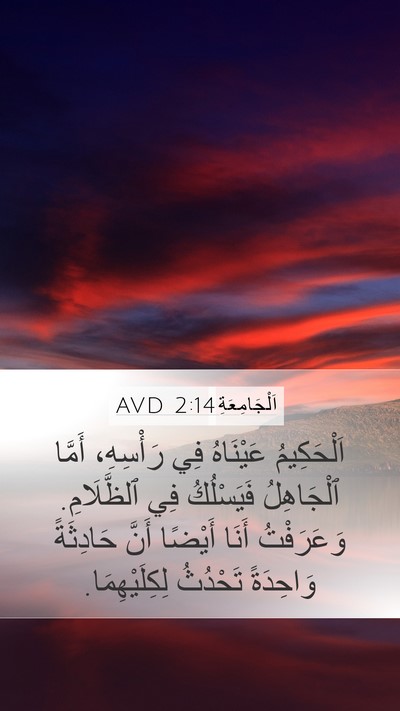 اَلْجَامِعَةِ 2:14 AVD Bible Verse Image