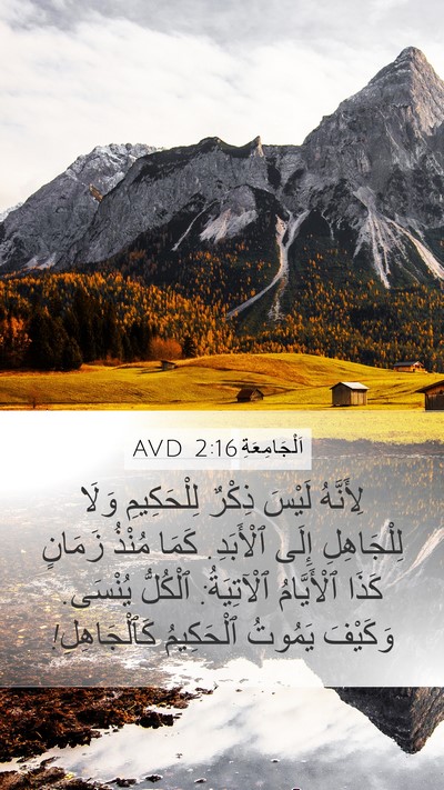 اَلْجَامِعَةِ 2:16 AVD Bible Verse Image
