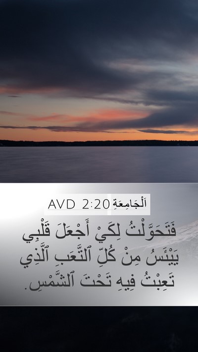 اَلْجَامِعَةِ 2:20 AVD Bible Verse Image