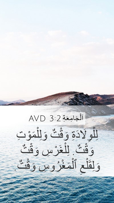 اَلْجَامِعَةِ 3:2 AVD Mobile Phone Wallpaper - لِلْوِلَادَةِ وَقْتٌ - Mobile Bible Verse Wallpaper
