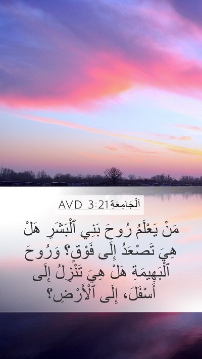 اَلْجَامِعَةِ 3:21 AVD Bible Verse Image