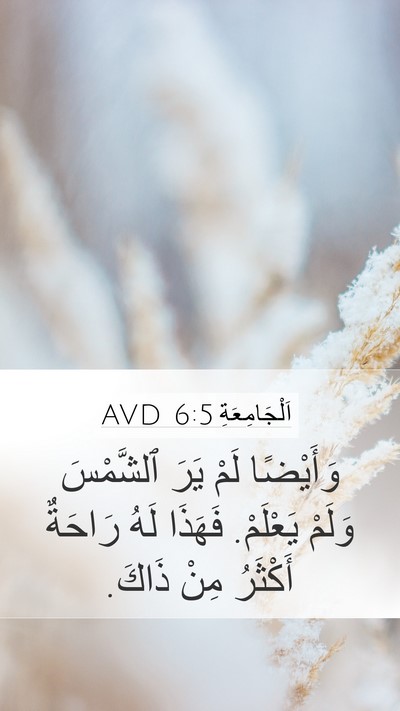 اَلْجَامِعَةِ 6:5 AVD Bible Verse Image