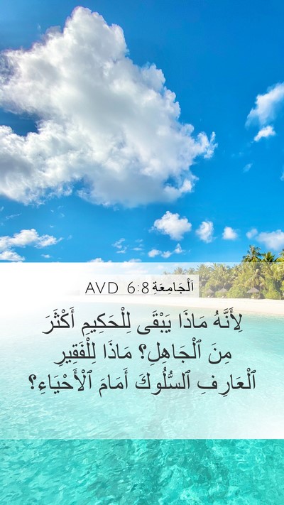 اَلْجَامِعَةِ 6:8 AVD Bible Verse Image