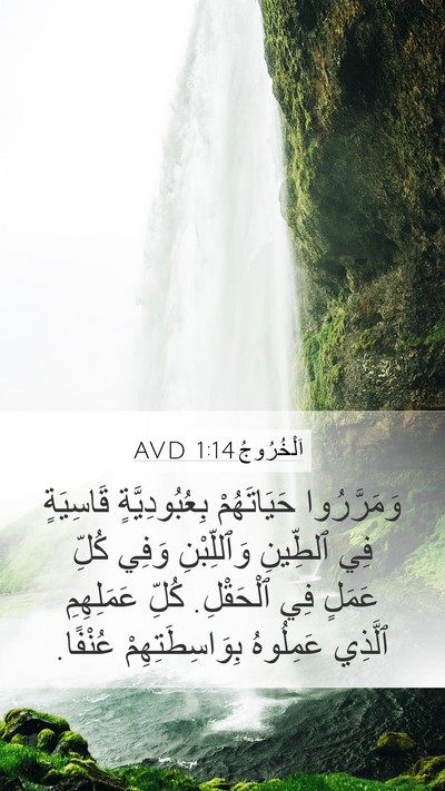 اَلْخُرُوجُ 1:14 AVD Bible Verse Image