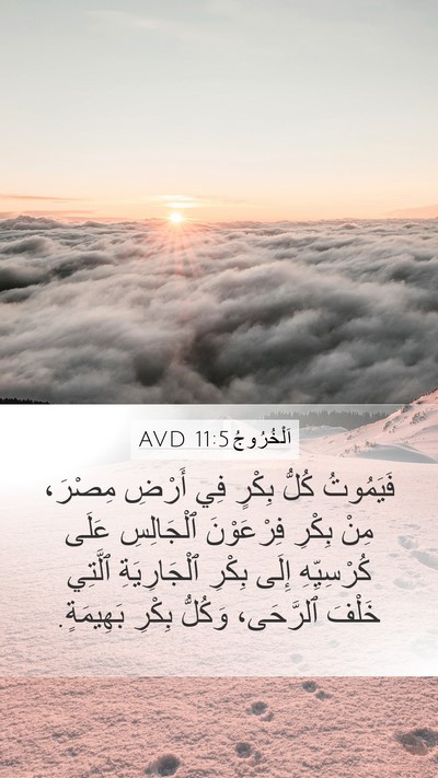 اَلْخُرُوجُ 11:5 AVD Bible Verse Image