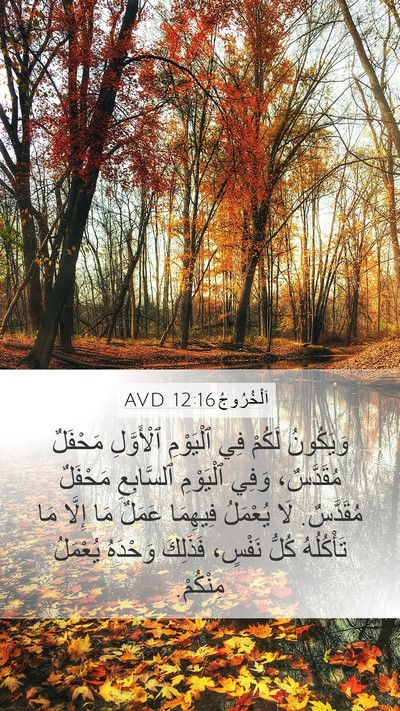 اَلْخُرُوجُ 12:16 AVD Bible Verse Image