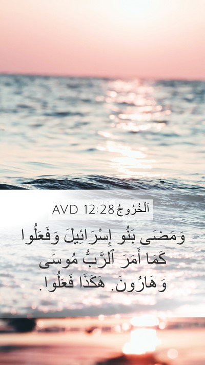 اَلْخُرُوجُ 12:28 AVD Mobile Phone Wallpaper - وَمَضَى بَنُو - Mobile Bible Verse Wallpaper