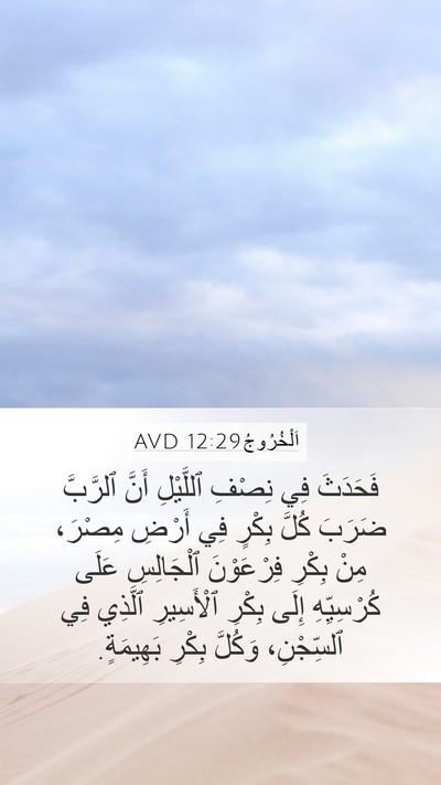 اَلْخُرُوجُ 12:29 AVD Bible Verse Image