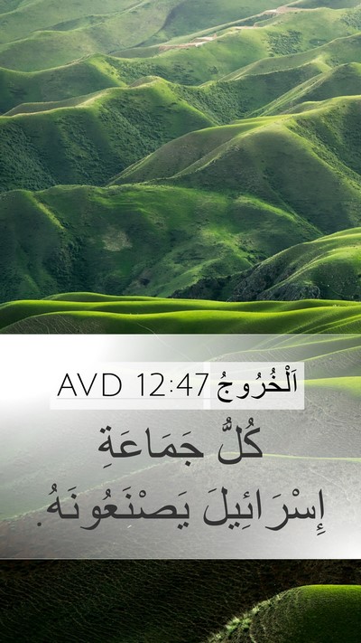 اَلْخُرُوجُ 12:47 AVD Mobile Phone Wallpaper - كُلُّ جَمَاعَةِ - Mobile Bible Verse Wallpaper