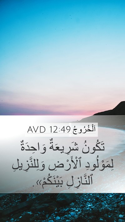 اَلْخُرُوجُ 12:49 AVD Bible Verse Image